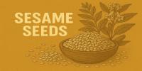 Sesame Seeds 